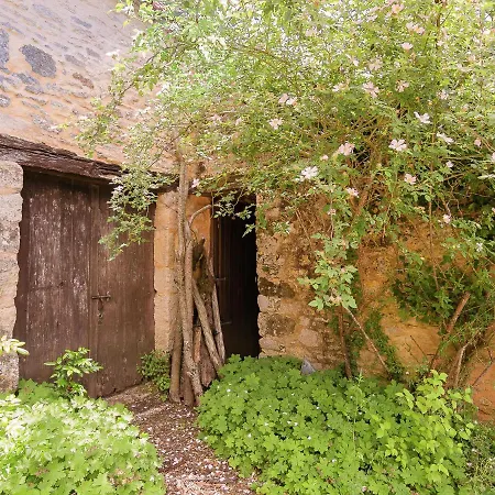 In Dordogne Near Lascaux Cave